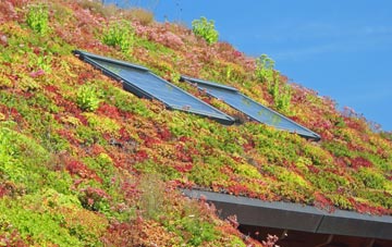 North Weald Bassett living roof systems